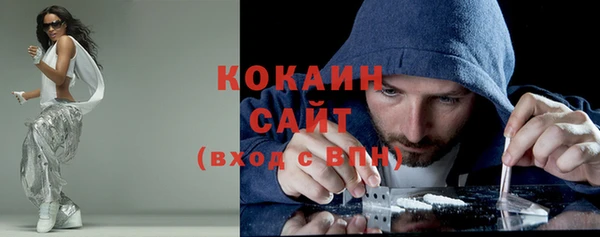 кокс Алексин