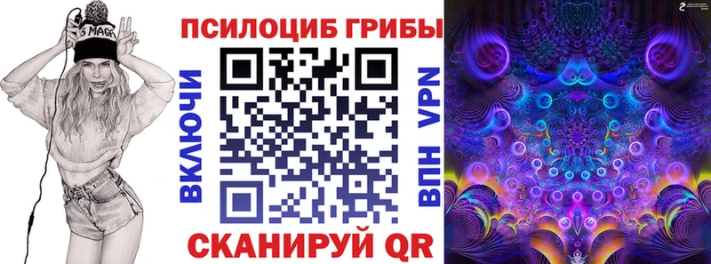 Псилоцибиновые грибы Magic Shrooms где продают наркотики MEGA ССЫЛКА Ветлуга
